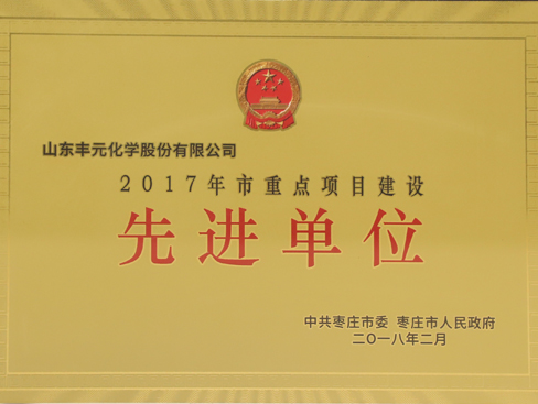 棗莊市重點(diǎn)項(xiàng)目建設(shè)先進(jìn)單位